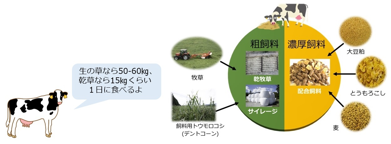 酪農の知識⑦