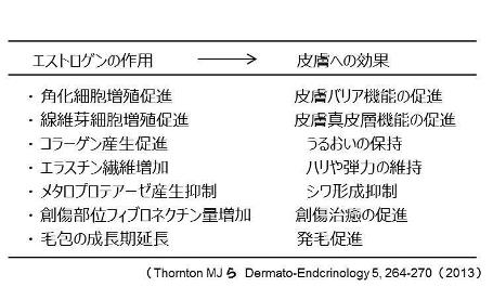 女性ホルモン低下状態における皮膚光老化に対する アロエステロール R の予防効果とそのメカニズムを解明 ニュースリリース 森永乳業株式会社