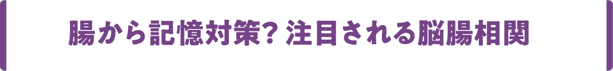 腸から記憶対策？ 注目される脳腸相関