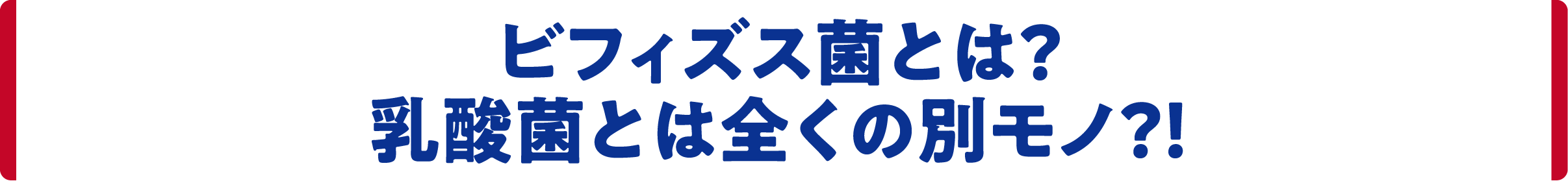 ビフィズス菌とは？乳酸菌とは全くの別モノ？！