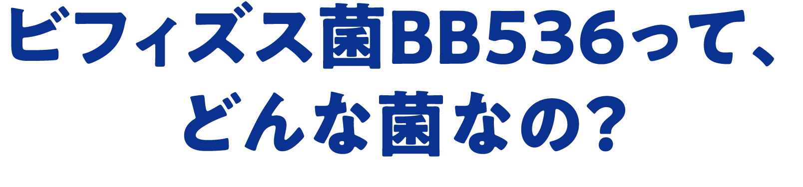 ビフィズス菌BB536って、どんな菌なの？