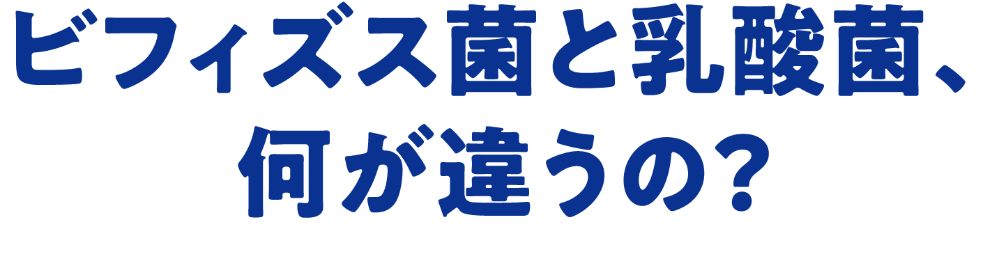 ビフィズス菌と乳酸菌、何が違うの？